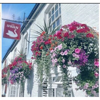 The Swan Inn logo - Similar company to Idr Worldwide