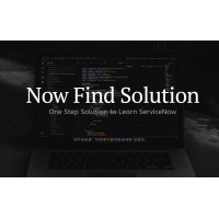 Now Find Solution logo - Similar company to Hacknow
