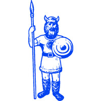 Viking Packaging logo - Similar company to Devine Packaging