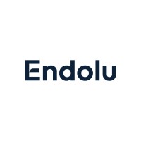 Endolu logo - Similar company to Mapzingo