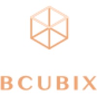 BCUBIX logo - Similar company to Ticket Factory
