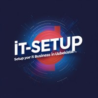 IT-Setup.Uz logo - Similar company to Mavex