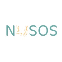 Nusos Translation logo - Similar company to Twig