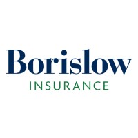 Borislow Insurance logo - Similar company to Insightful Solutions, Llc