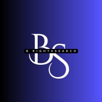 Bright_X_Search Advertising and Marketing logo - Similar company to Styrium Labs