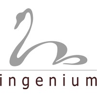 Ingenium Polska