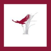 CHV Winery - Cooper's Hawk Vineyards and The Vines Restaurant logo - Similar company to Wine Bar George
