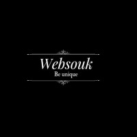 WebSouk logo - Similar company to Evolvex Digital