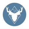 STAG - Strategic Talent Advisory Group logo - Similar company to Stag - Strategic Technologies Analytics Group