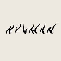 Hyuman logo - Similar company to Finsight Group Inc (Finsight)