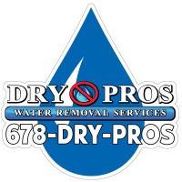Dry Pros logo - Similar company to Pros Make Ready Sanitizing Services Llc