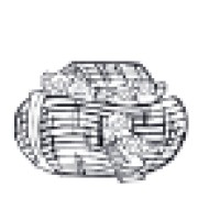 Ark Homes Foster Family Agency