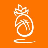 Flytika logo - Similar company to Tozex - Tokenization As Service