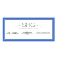SPIERTZ HORIZON GROUP  (SHG) logo - Similar company to Nsi Gmbh