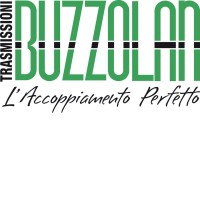 TRASMISSIONI BUZZOLAN S.R.L. logo - Similar company to Cmr Group S.P.A.