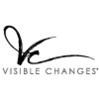 Visible Changes logo - Similar company to Bikesource