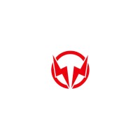 ZST logo - Similar company to Zst Technologies