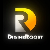 DigiRayz Media logo - Similar company to Ams Signs Company