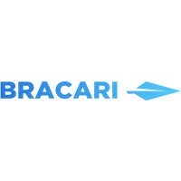 Bracari logo - Similar company to Dataspring, Inc.