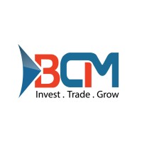 BLINK CAPITAL MANAGEMENT logo - Similar company to Floret Capitals (Pvt) Ltd.