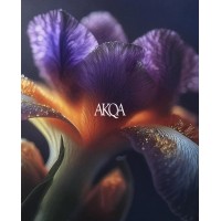 AKQA Brussels PR logo - Similar company to Team.Davanac