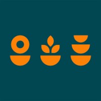 Flowervision Bristol logo - Similar company to Padel Tripper