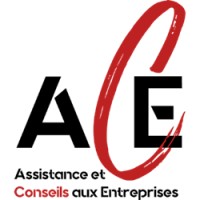 ACE logo - Similar company to E.T.I.S.