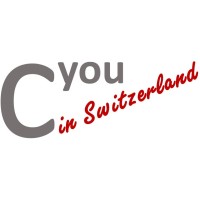 CYou in Switzerland logo - Similar company to Cyou