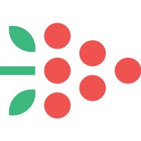 Knowledge Berries logo - Similar company to Resulta Partners