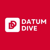 DatumDive logo - Similar company to Flex It Experts