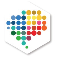 The Whole Brain Foundation