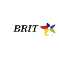 Brit Technology Services LLC (BTS)