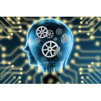 Harness the Power of Machine Learning & AI Bookkeeping logo - Similar company to Schwartz & Schwartz | Hedgi Ai