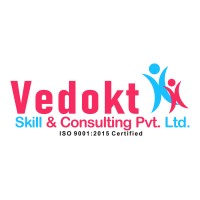 VEDOKT SKILL AND CONSULTING PRIVATE LIMITED logo - Similar company to Nempact