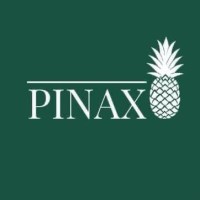 Pinax logo - Similar company to Hsfn - Hindoe Studenten Forum Nederland