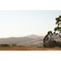 Red Dot Ranch logo - Similar company to Red Dot Studio