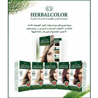 Herbalcolor - pure planta logo - Similar company to Shaima Beauty