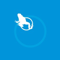 Leap Creative Services