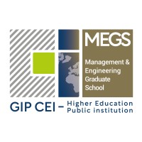 MEGS logo - Similar company to Lirsa