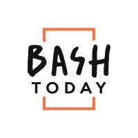 Bash Today logo - Similar company to Badidea