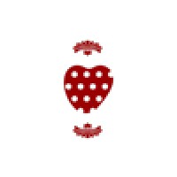Chic Ville logo - Similar company to Bronto