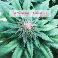 PA Women in Cannabis logo - Similar company to New Leaf Data Services
