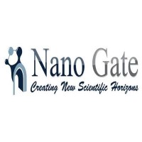Nano Gate logo - Similar company to Nano Gate Eg