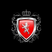 Lions Sports Travel logo - Similar company to Us Tourism