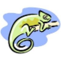 Chameleon Consulting LLC