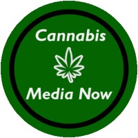 Cannabis Media Now logo - Similar company to 420Property.Com