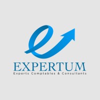 Expertum Maroc logo - Similar company to Startcharika.Com