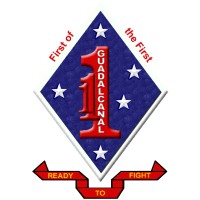 Battalion Landing Team 1 / 1