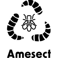 AMESECT logo - Similar company to Tfs Cargo Bicycles