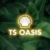 TS OASIS logo - Similar company to Logísticas Especiales